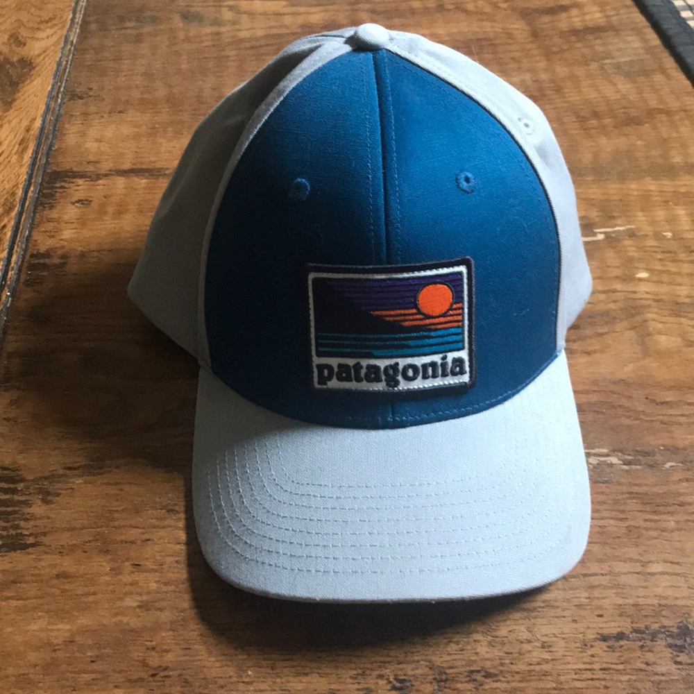 Patagonia snap back hat